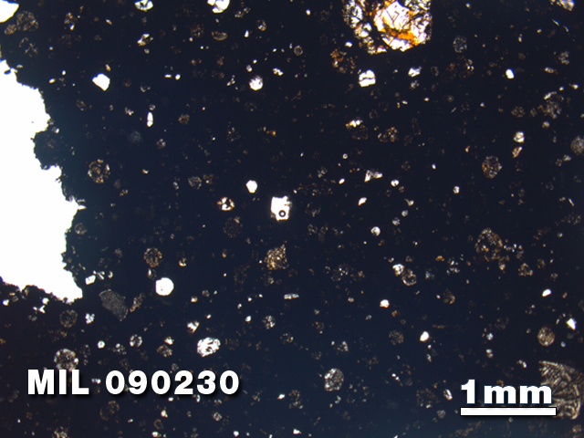Thin Section Photo of Sample MIL 090230 in Plane-Polarized Light with 1.25X Magnification