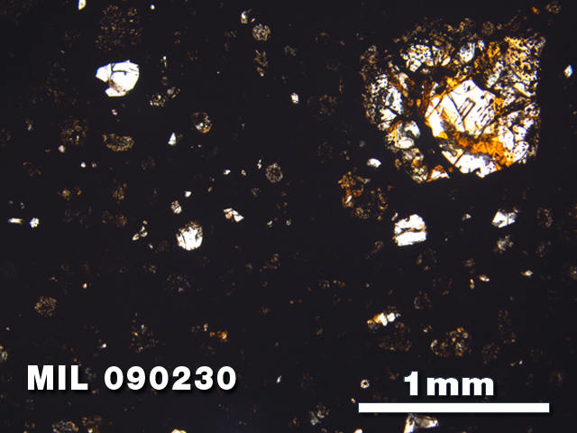 Thin Section Photo of Sample MIL 090230 in Plane-Polarized Light with 2.5X Magnification