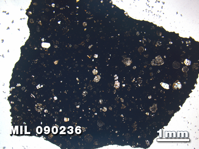 Thin Section Photo of Sample MIL 090236 in Plane-Polarized Light with 1.25X Magnification