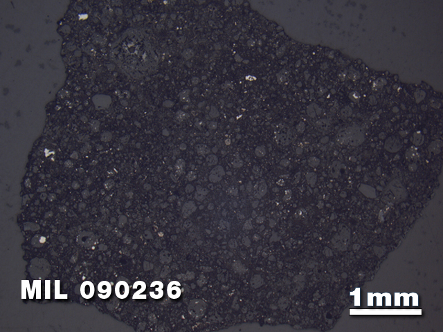 Thin Section Photo of Sample MIL 090236 in Reflected Light with 1.25X Magnification