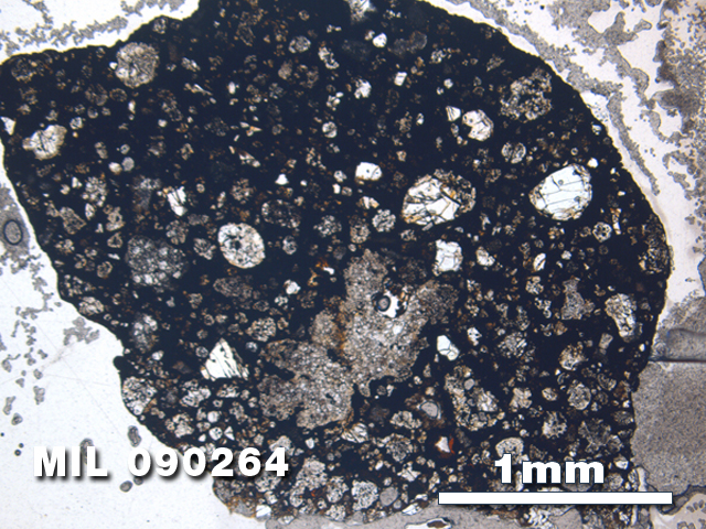 Thin Section Photo of Sample MIL 090264 at 2.5X Magnification in Plane-Polarized Light