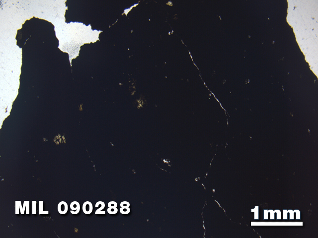 Thin Section Photo of Sample MIL 090288 in Plane-Polarized Light with 1.25X Magnification