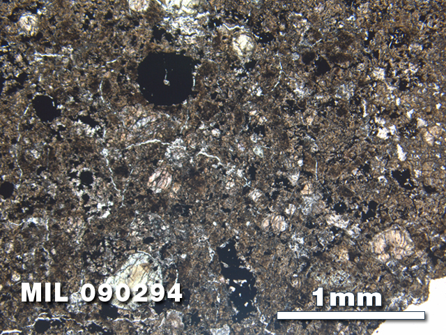 Thin Section Photo of Sample MIL 090294 in Plane-Polarized Light with 2.5X Magnification