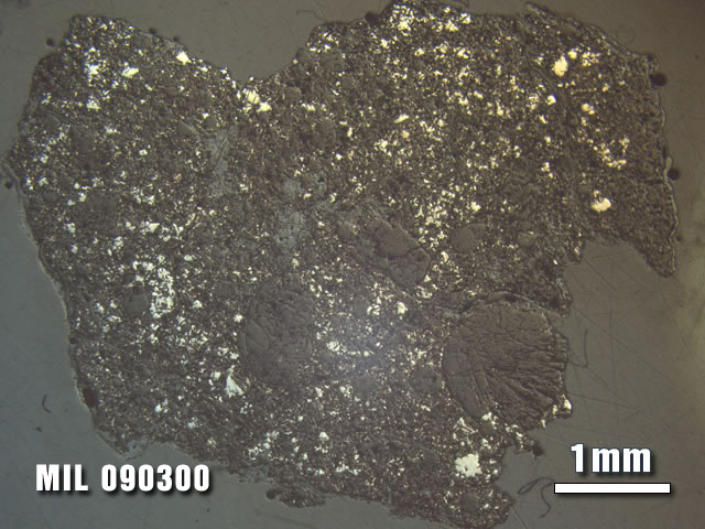 Thin Section Photo of Sample MIL 090300 at 1.25X Magnification in Reflected Light
