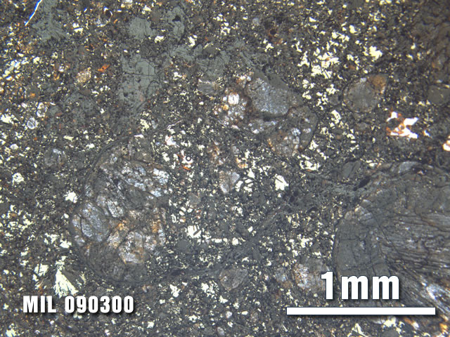Thin Section Photo of Sample MIL 090300 at 2.5X Magnification in Plane-Polarized Light