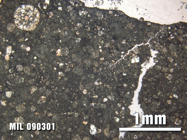 Thin Section Photo of Sample MIL 090301 at 2.5X Magnification in Plane-Polarized Light