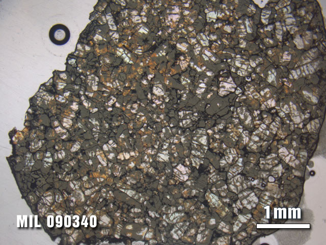 Thin Section Photo of Sample MIL 090340 at 1.25X Magnification in Plane-Polarized Light