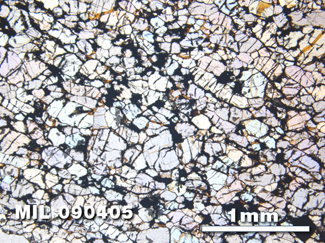 Thin Section Photo of Sample MIL 090405 in Plane-Polarized Light with 2.5X Magnification