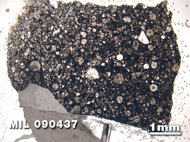 Thin Section Photo of Sample MIL 090437 at 1.25X Magnification in Plane-Polarized Light