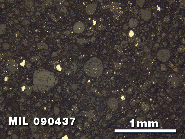Thin Section Photo of Sample MIL 090437 at 2.5X Magnification in Reflected Light