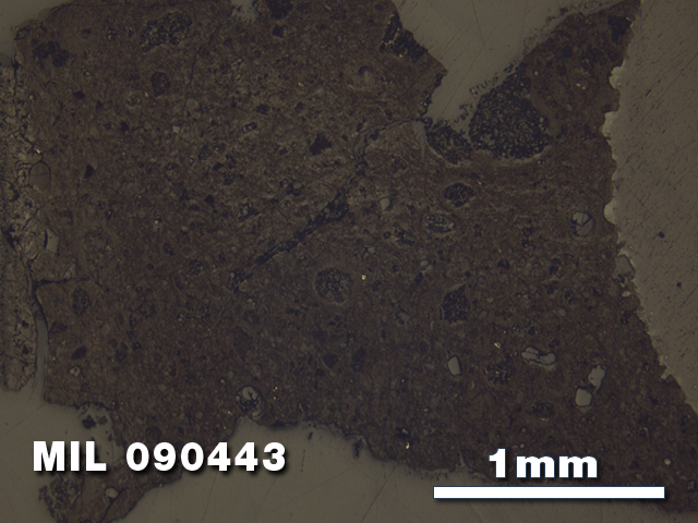 Thin Section Photo of Sample MIL 090443 at 2.5X Magnification in Reflected Light