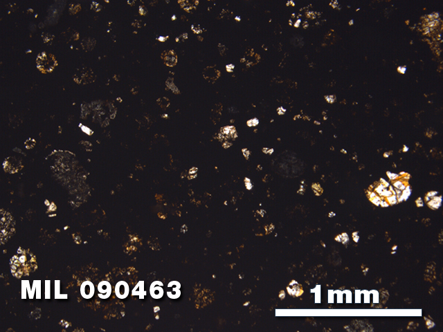 Thin Section Photo of Sample MIL 090463 in Plane-Polarized Light with 2.5X Magnification