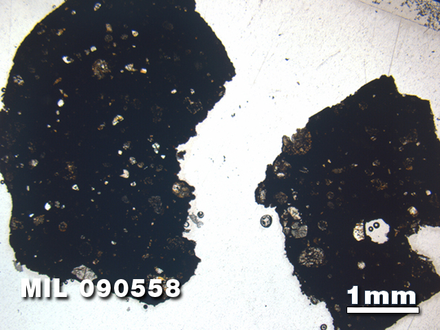 Thin Section Photo of Sample MIL 090558 in Plane-Polarized Light with 1.25X Magnification