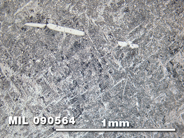 Thin Section Photo of Sample MIL 090564 in Reflected Light with 5X Magnification
