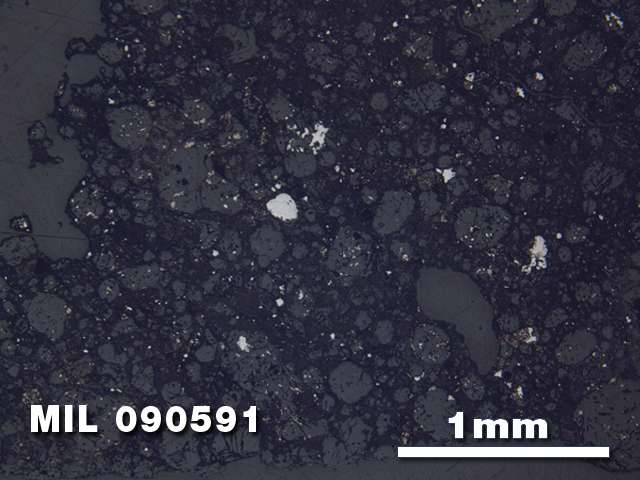 Thin Section Photo of Sample MIL 090591 in Reflected Light with 2.5X Magnification