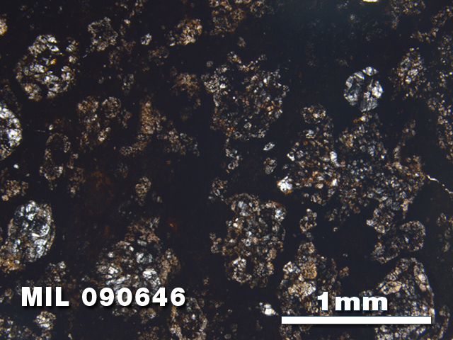 Thin Section Photo of Sample MIL 090646 in Plane-Polarized Light with 2.5X Magnification