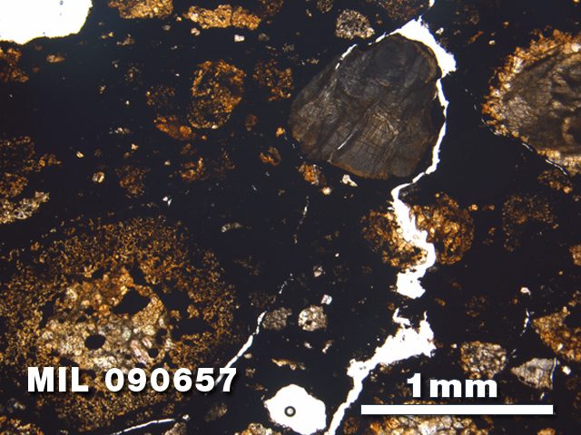Thin Section Photo of Sample MIL 090657 in Plane-Polarized Light with 2.5X Magnification