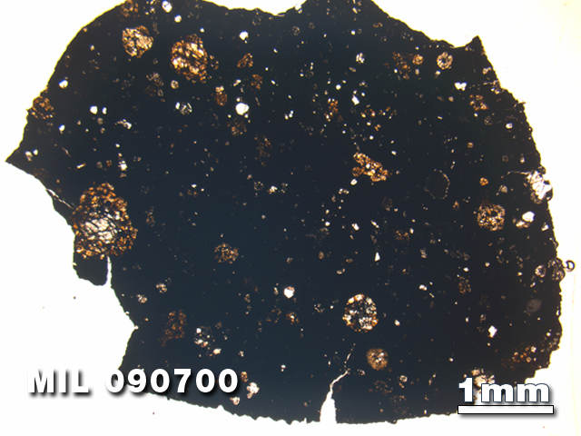 Thin Section Photo of Sample MIL 090700 in Plane-Polarized Light with 1.25X Magnification