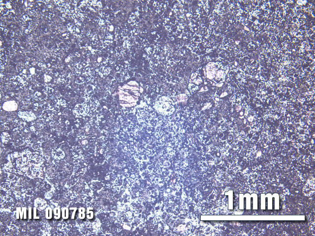 Thin Section Photo of Sample MIL 090785 at 2.5X Magnification in Plane-Polarized Light