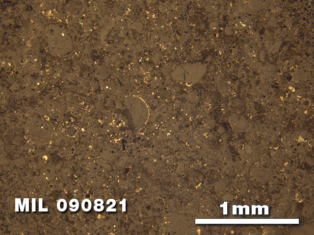 Thin Section Photo of Sample MIL 090821 in Reflected Light with 2.5X Magnification