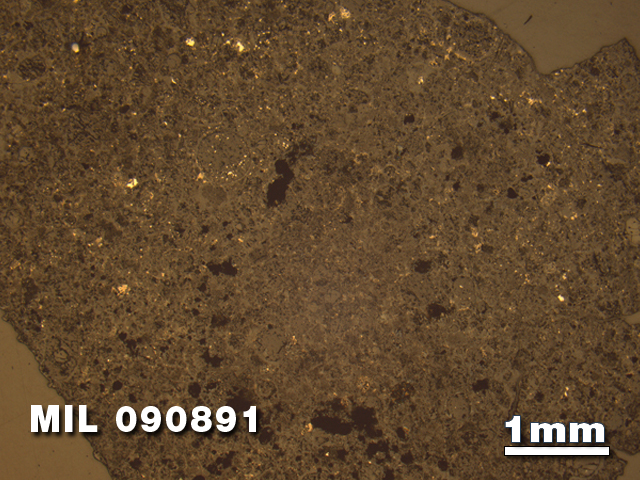 Thin Section Photo of Sample MIL 090891 in Reflected Light with 1.25X Magnification
