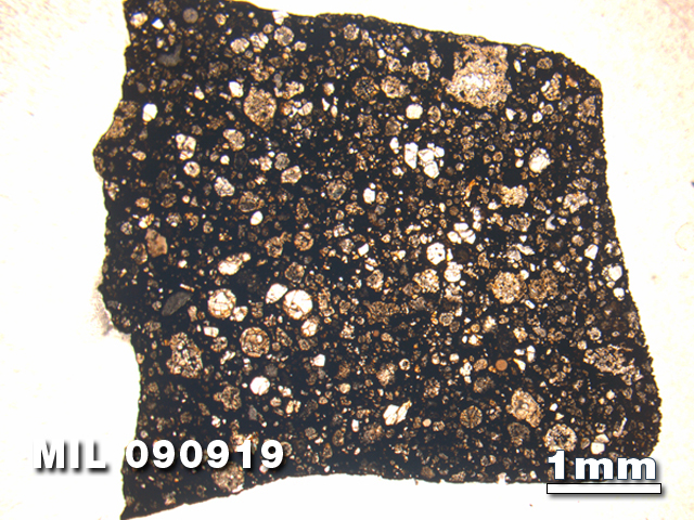 Thin Section Photo of Sample MIL 090919 in Plane-Polarized Light with 1.25X Magnification