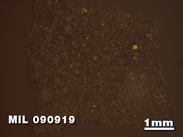 Thin Section Photo of Sample MIL 090919 in Reflected Light with 1.25X Magnification