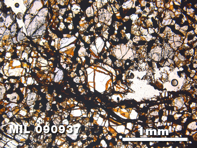 Thin Section Photo of Sample MIL 090937 in  Plane-Polarized Light with 2.5X Magnification