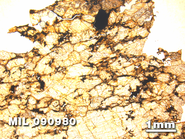 Thin Section Photo of Sample MIL 090980 in Plane-Polarized Light with 1.25X Magnification