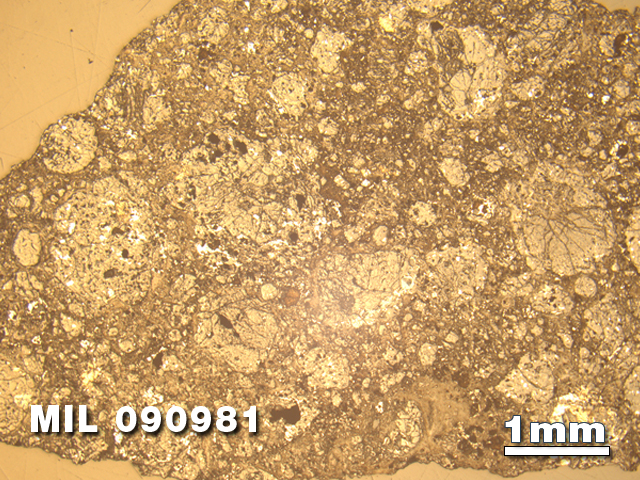 Thin Section Photo of Sample MIL 090981 in Reflected Light with 1.25X Magnification
