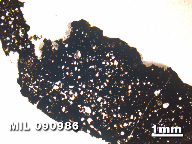 Thin Section Photo of Sample MIL 090986 in Plane-Polarized Light with 1.25X Magnification