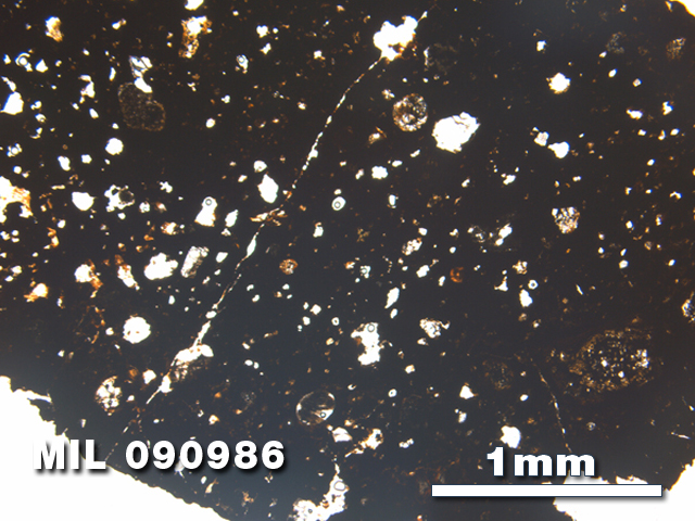 Thin Section Photo of Sample MIL 090986 in Plane-Polarized Light with 2.5X Magnification