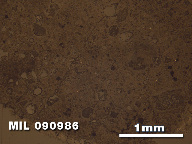 Thin Section Photo of Sample MIL 090986 in Reflected Light with 2.5X Magnification