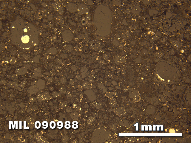 Thin Section Photo of Sample MIL 090988 in Reflected Light with 2.5X Magnification