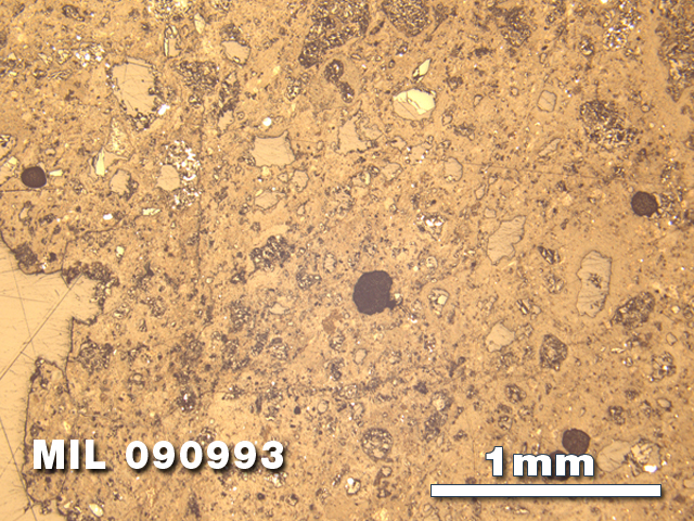 Thin Section Photo of Sample MIL 090993 in Reflected Light with 2.5X Magnification