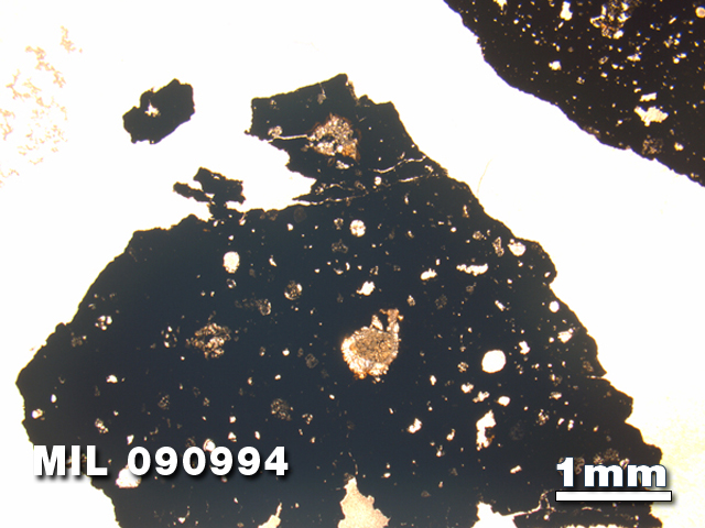 Thin Section Photo of Sample MIL 090994 in Plane-Polarized Light with 1.25X Magnification