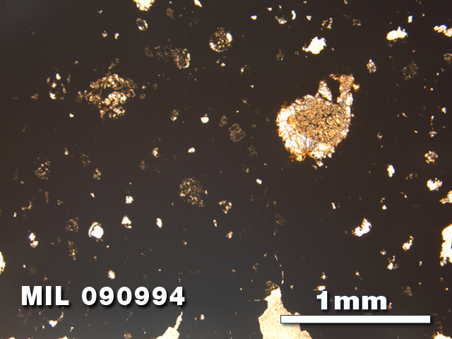 Thin Section Photo of Sample MIL 090994 in Plane-Polarized Light with 2.5X Magnification