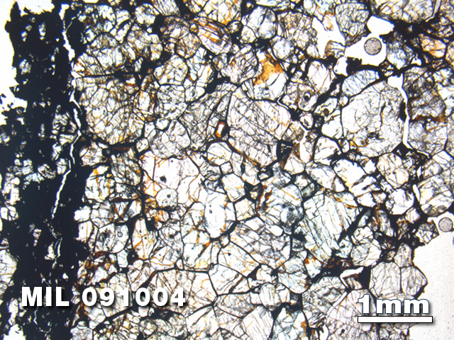 Thin Section Photo of Sample MIL 091004 in Plane-Polarized Light with 1.25X Magnification