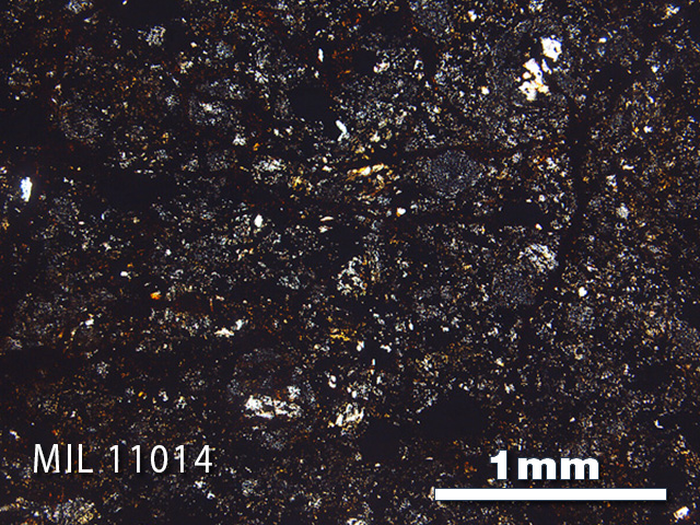 Thin Section Photo of Sample MIL 11014 in Plane-Polarized Light with 2.5x Magnification