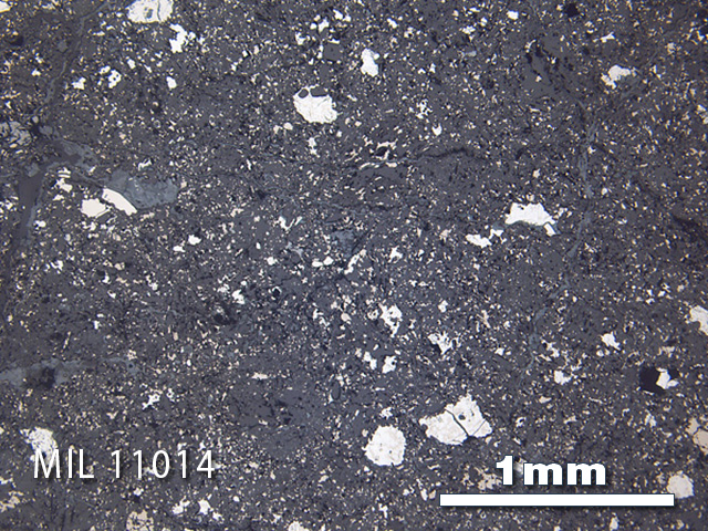 Thin Section Photo of Sample MIL 11014 in Reflected Light with 2.5x Magnification