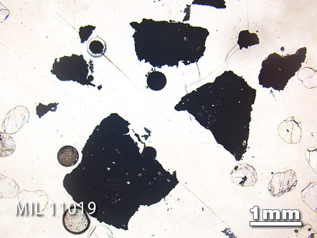Thin Section Photo of Sample MIL 11019 in Plane-Polarized Light with 1.25x Magnification