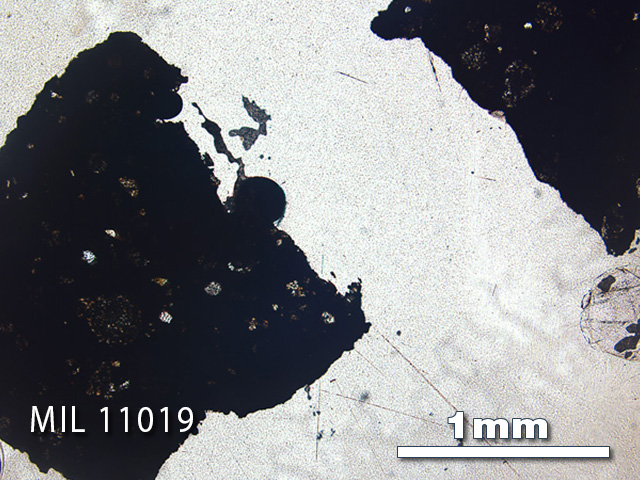 Thin Section Photo of Sample MIL 11019 in Plane-Polarized Light with 2.5x Magnification