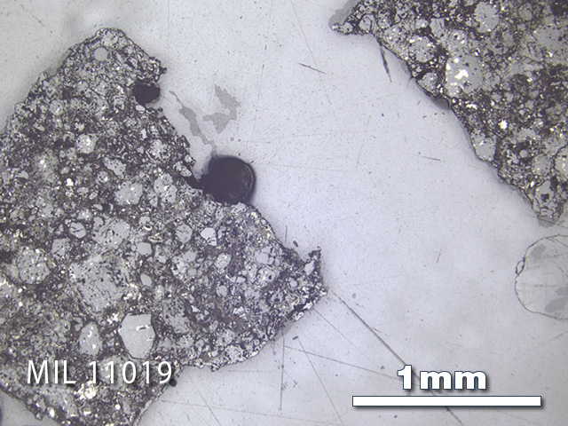 Thin Section Photo of Sample MIL 11019 in Reflected Light with 2.5x Magnification