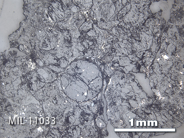 Thin Section Photo of Sample MIL 11033 in Reflected Light with 2.5x Magnification