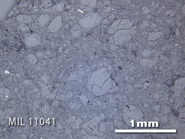 Thin Section Photo of Sample MIL 11041 in Reflected Light with 2.5X Magnification