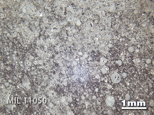 Thin Section Photo of Sample MIL 11050 in Reflected Light with 1.25x Magnification