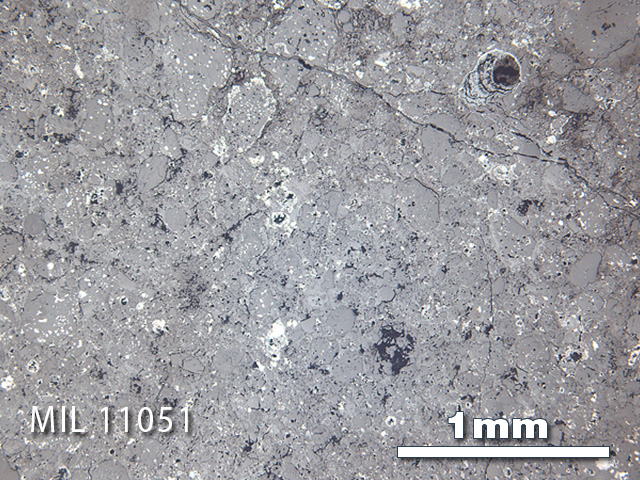 Thin Section Photo of Sample MIL 11051 in Reflected Light with 2.5x Magnification
