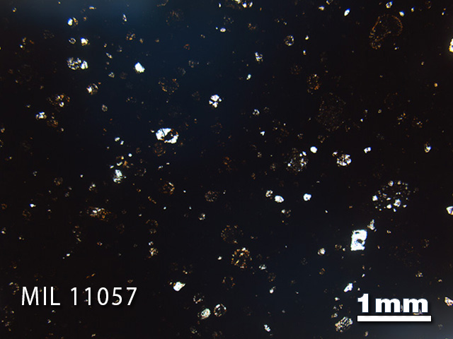 Thin Section Photo of Sample MIL 11057 in Plane-Polarized Light with 1.25x Magnification