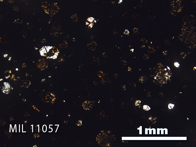 Thin Section Photo of Sample MIL 11057 in Plane-Polarized Light with 2.5x Magnification