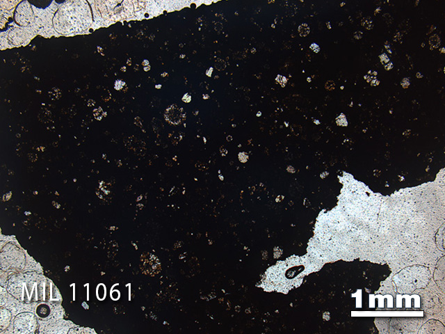 Thin Section Photo of Sample MIL 11061 in Plane-Polarized Light with 1.25x Magnification